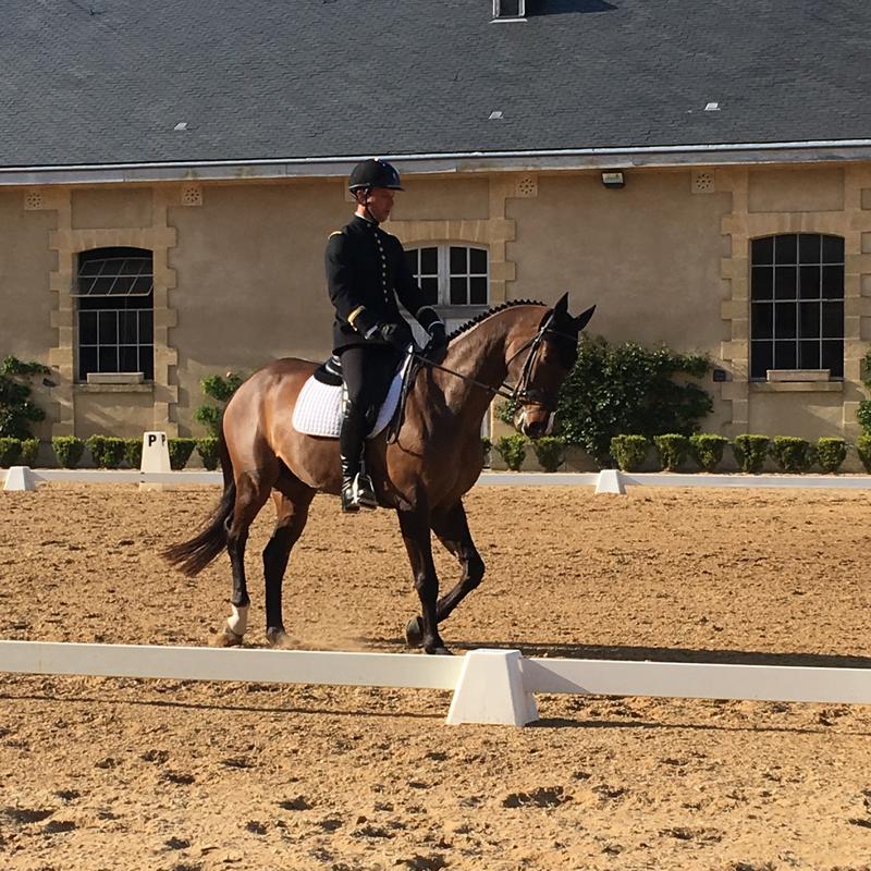 Visite - découverte du Concours Complet d'Equitation
