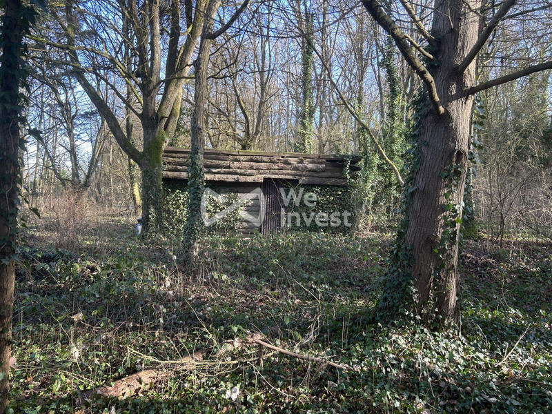 Terrain - 16 935 m²