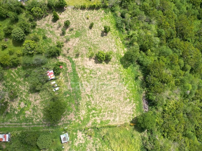 Terrain constructible - 1 919 m²