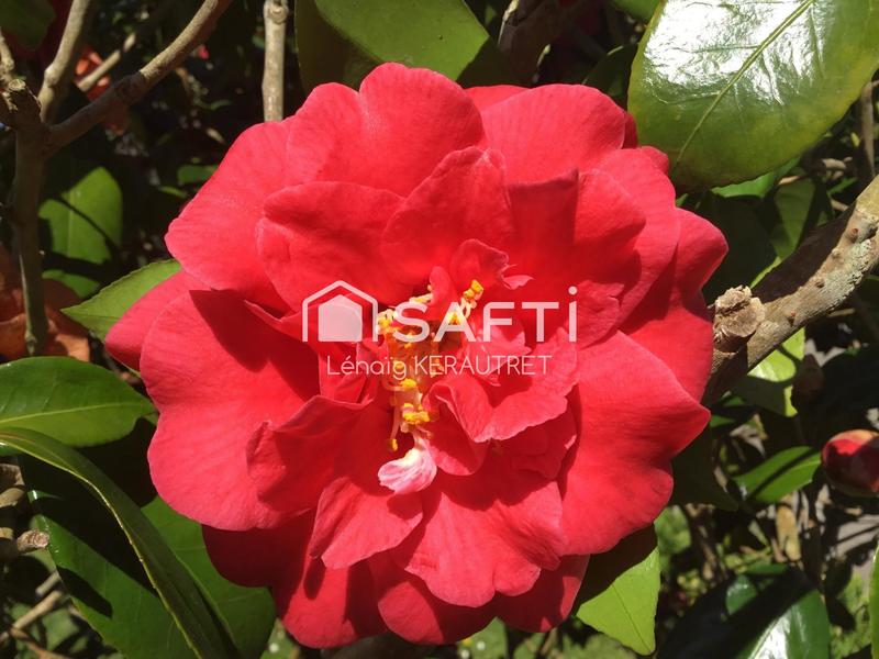 Maison - 148 m² - 7 pièces