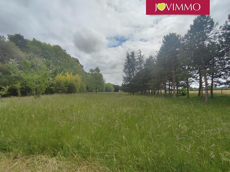 Terrain - 100 000 m²