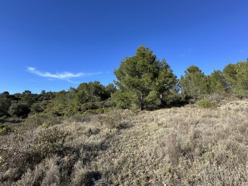 Terrain de loisirs - 10 189 m²