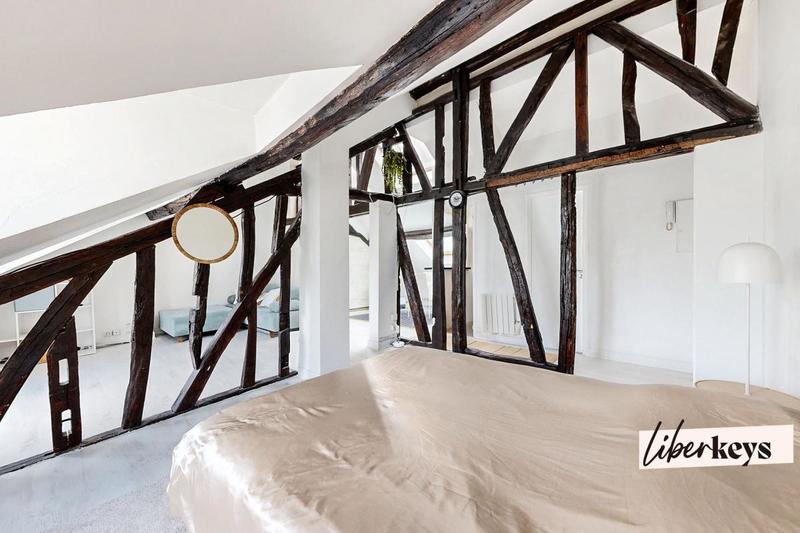 Loft - 53 m² - 2 pièces