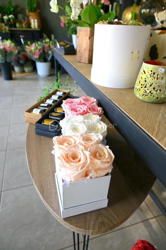 Local commercial - 71 m² - 2 pièces