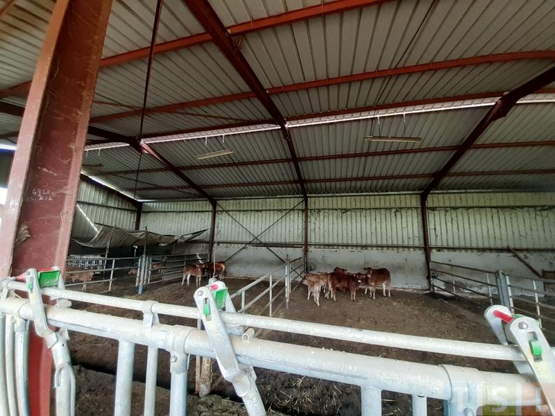 Propriété viticole - 220 m² - 8 pièces