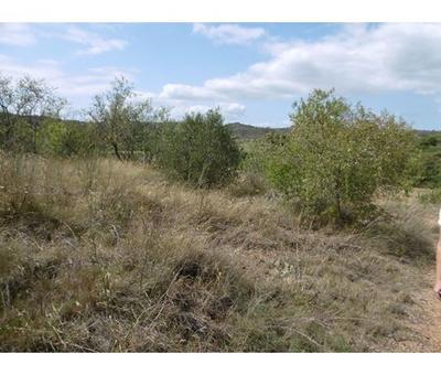 Terrain - 14 200 m²