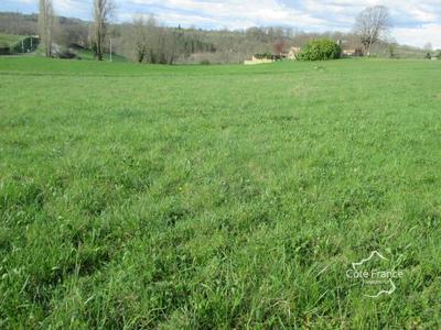 Terrain constructible - 3 000 m²