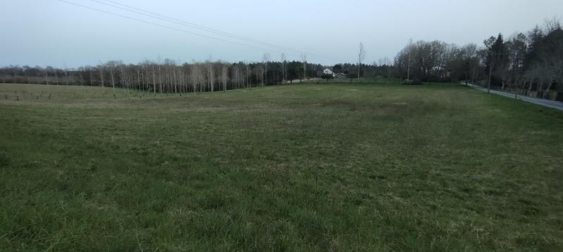 Terrain - 3 984 m²