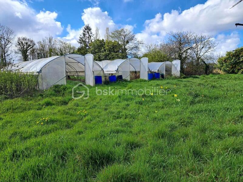 Propriété - 131 m² - 5 pièces