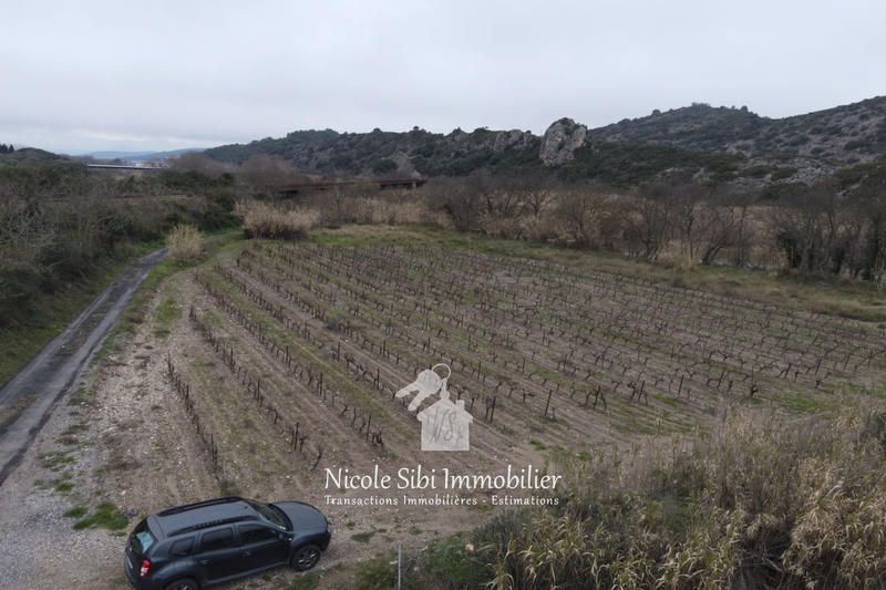 Terrain agricole - 5 600 m²