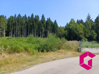 Terrain - 11 620 m²