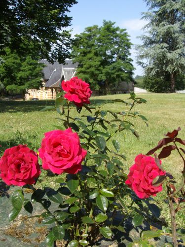 Les Arches (Château)