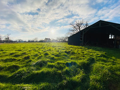 Maison - 400 m² - 5 pièces