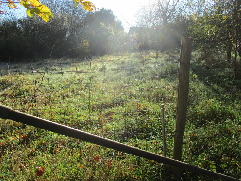 Maison - 98 m² - 5 pièces