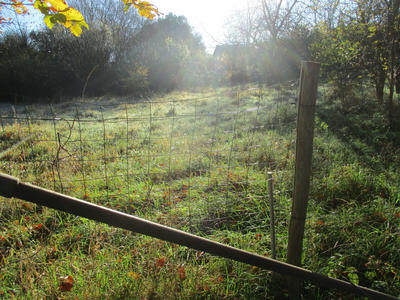 Maison - 98 m² - 5 pièces