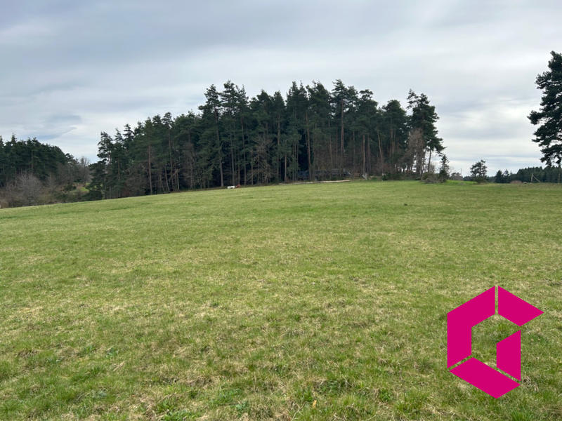 Terrain - 12 256 m²