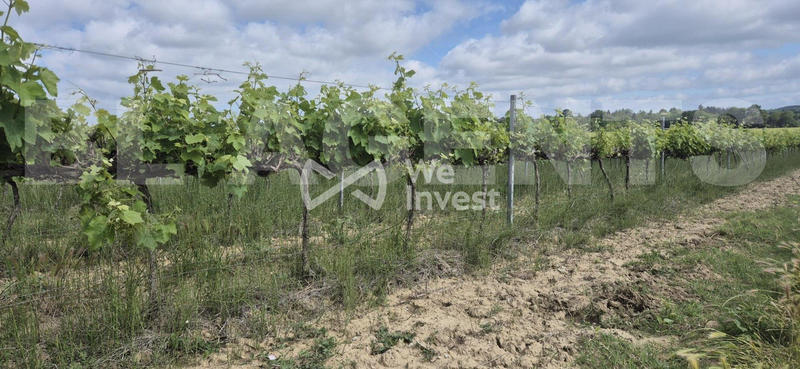 Terrain - 190 000 m²