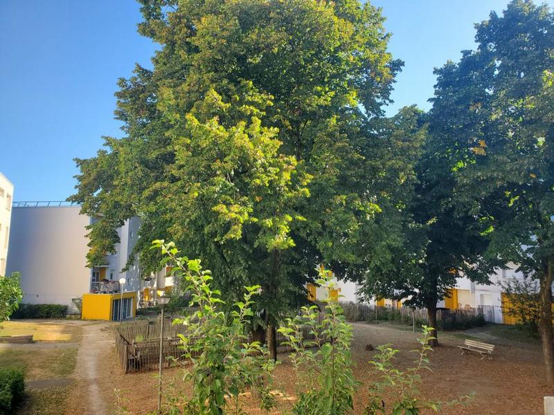 Appartement ancien - 63 m² - 3 pièces