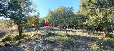 Terrain constructible - 829 m²