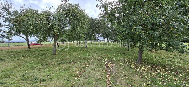 Maison en pierre - 158 m² - 7 pièces