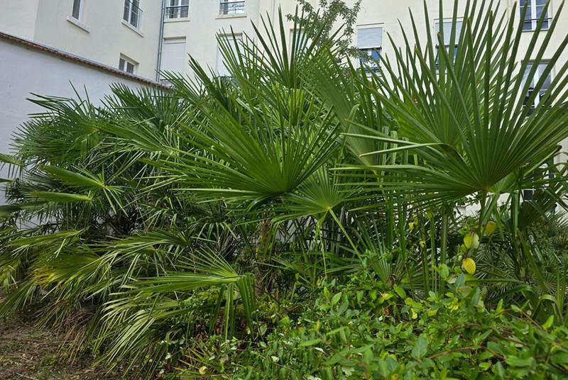 Appartement - 97 m² - 5 pièces