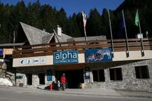 Alpha le Temps du Loup