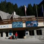 Alpha le Temps du Loup