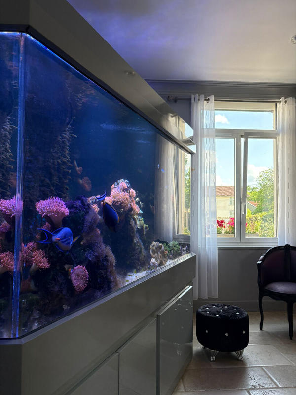 Demeure - 350 m² - 9 pièces