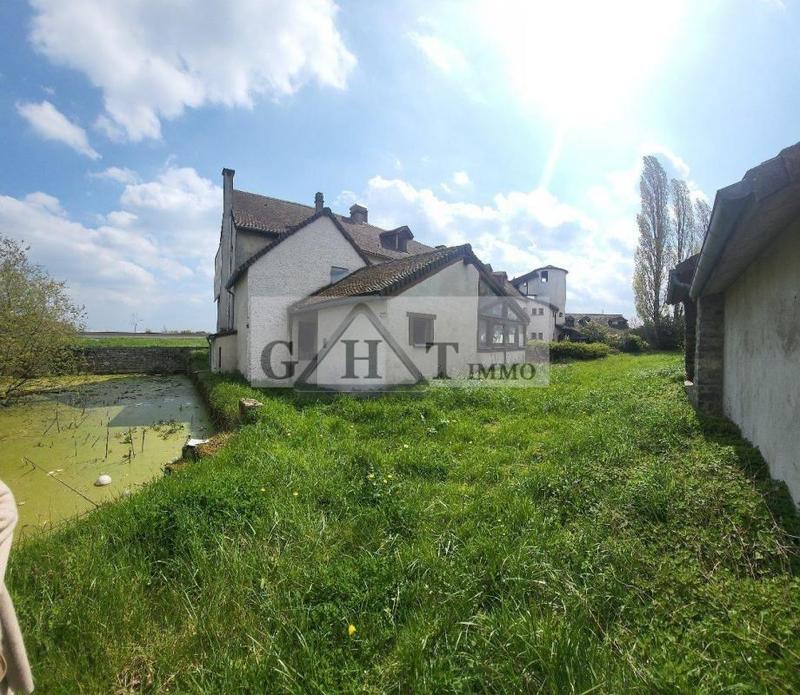 Immeuble - 2 975 m²