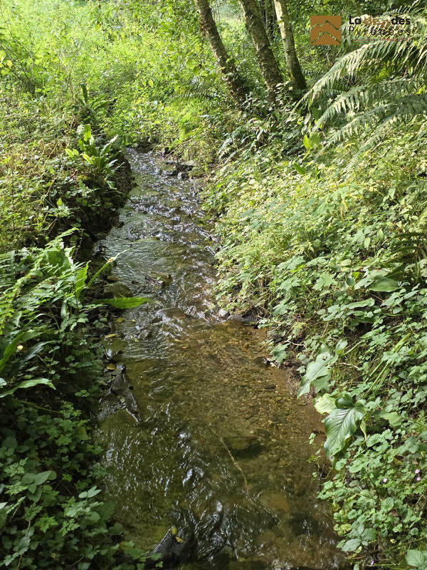 Maison ancienne - 100 m² - 2 pièces