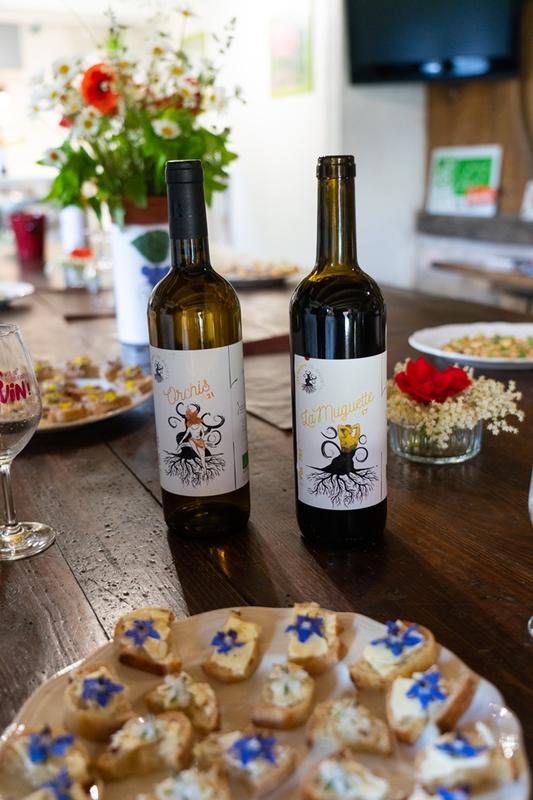 Le sentier des 5 sens au Domaine les Hauts de Riquets balade gourmande