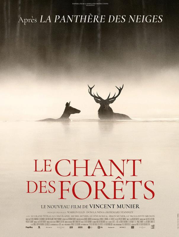 Cinéma Arudy : le Chant des forêts