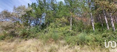 Terrain - 37 700 m²