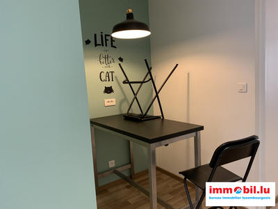 Appartement - 28 m² - 1 pièce