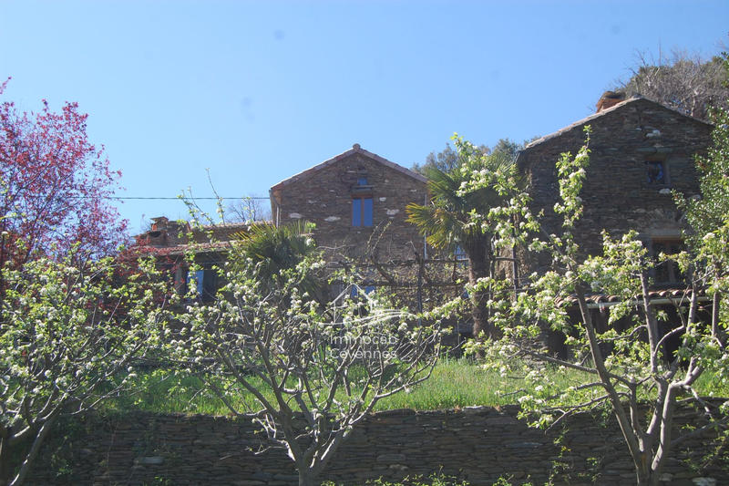 Mas - 170 m² - 7 pièces