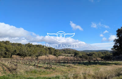 Maison - 242 m² - 10 pièces