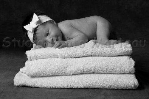 Studio Photo Marteau