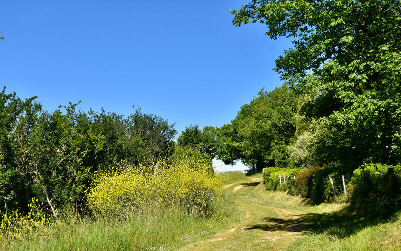 Propriété - 426 m² - 12 pièces