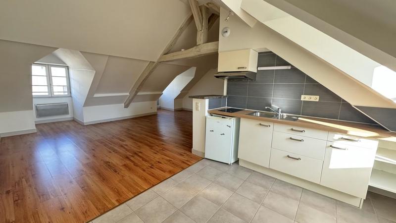 Appartement ancien - 46 m² - 1 pièce