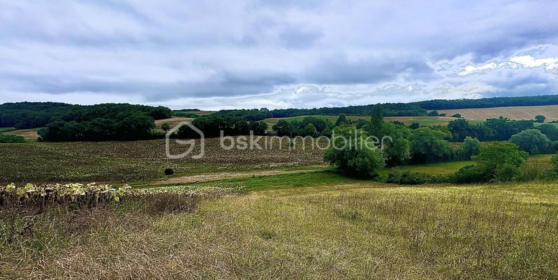 Terrain constructible - 3 697 m²