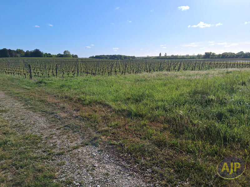 Immeuble - 10 pièces