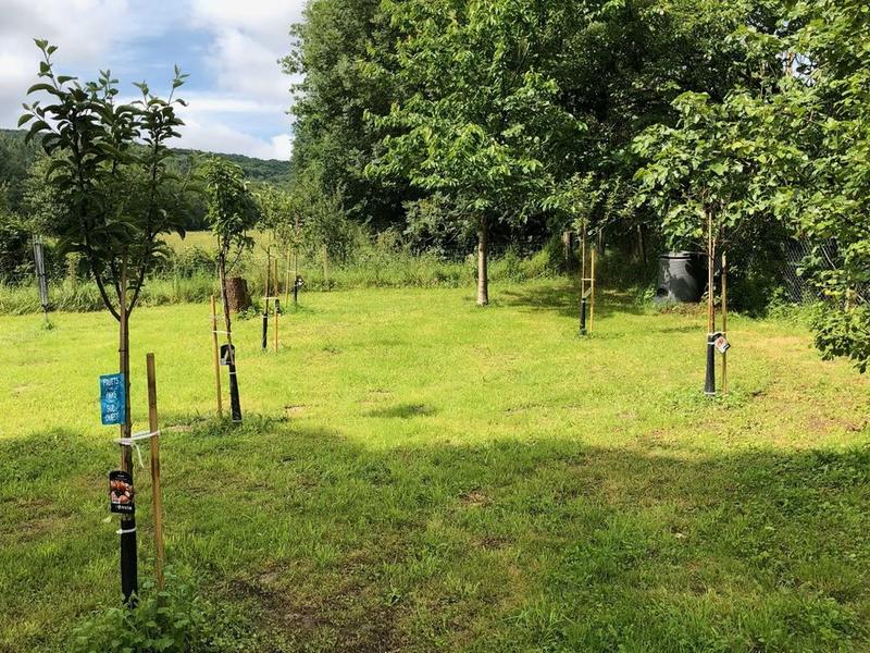 Maison ancienne - 450 m² - 12 pièces