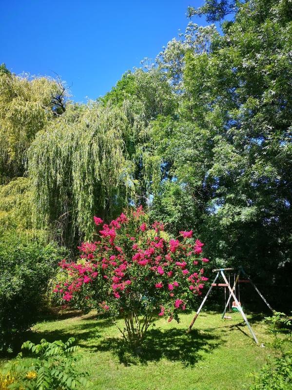 Maison ancienne - 447 m² - 16 pièces