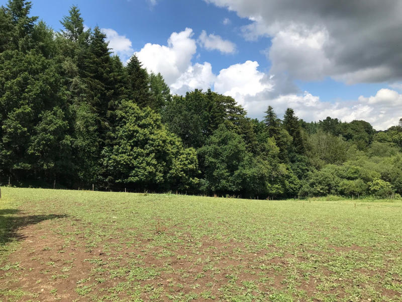 Maison - 340 m² - 13 pièces