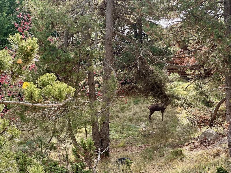 Terrain constructible - 1 572 m²