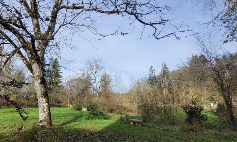 Propriété - 326 m² - 10 pièces