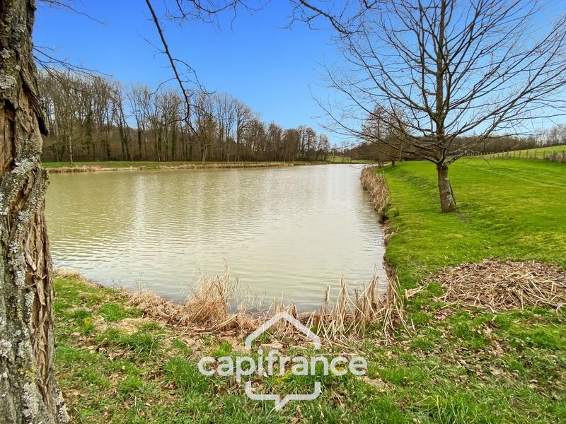 Étang - 15 080 m²