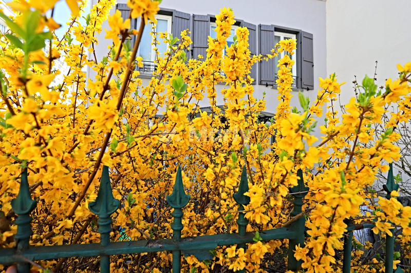 Maison - 184 m² - 7 pièces