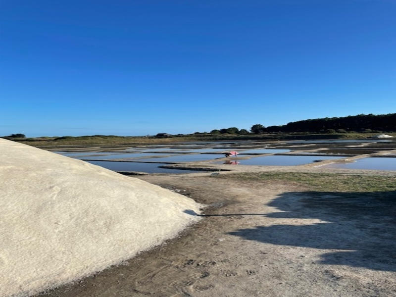 Maison - 181 m² - 7 pièces