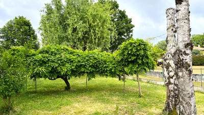 Maison - 130 m² - 6 pièces